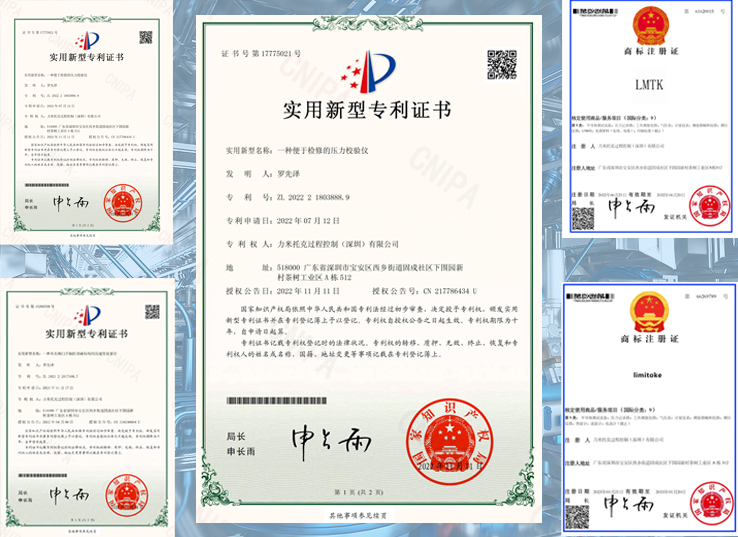 LIMI Process Control (Shenzhen) Co., Ltd.