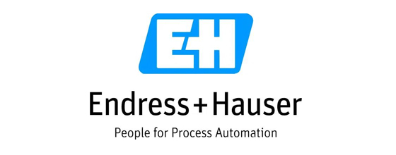 Endress+Hauser